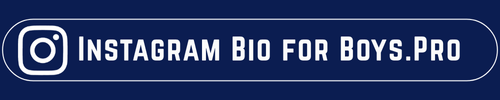 Instagram Bio for Boyss.Pro logo 