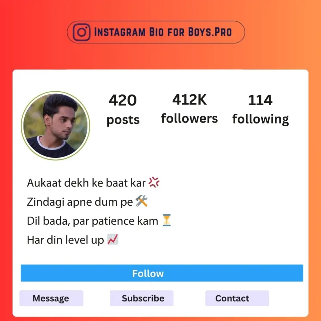 Hinglish Heavy-Hitters Insta Attitude Bio